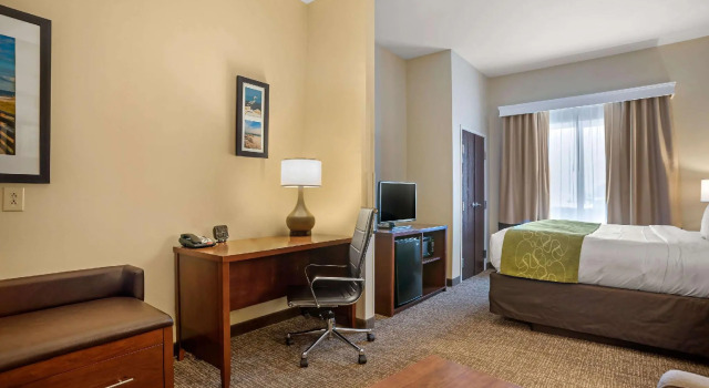 Двухместный люкс Comfort Suites Foley - North Gulf Shores