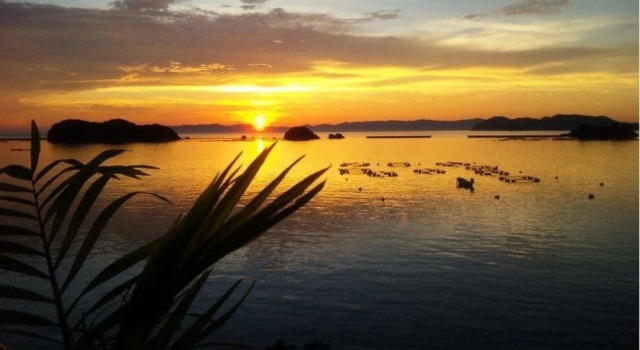 Seaside Uwakai, Reserva ahora Hostal o pensión Seiyo Ehime