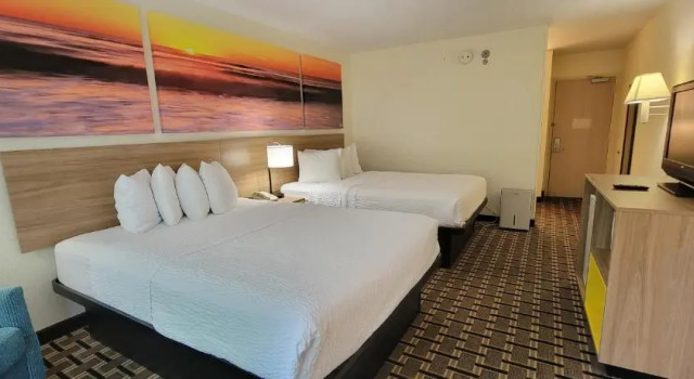 Четырёхместный номер Standard Hotel Carolina