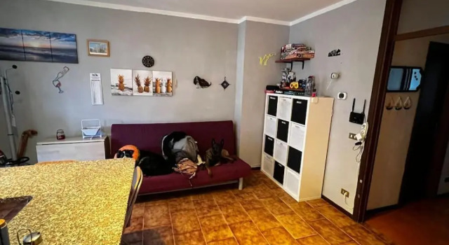 Bilocale fronte lago Gimmy's House, Prenota Appartamento Ranzanico Lombardia