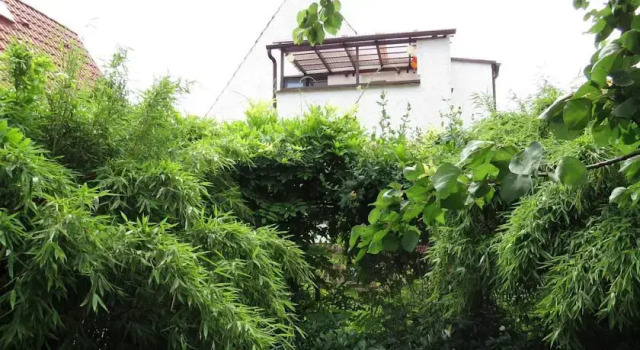 Ferienhaus und Ferienwohnung Genetzkie, Prenota Appartamento Hotel a Garz con parcheggio, Parcheggio