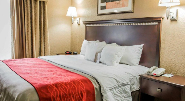Номер Standard Comfort Inn & Suites Marianna I-10