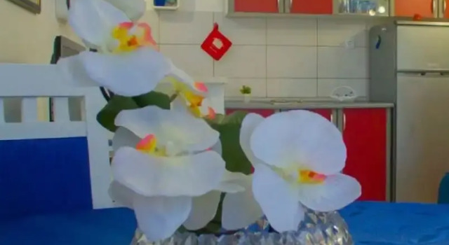 Mirjana - A1, Prenota Hotel Vis 