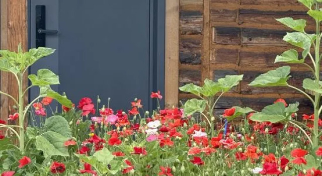Xiyunjian Homestay (Kanas Old Village Branch), Kanas, Reserva ahora Hotel Altay Sinkiang