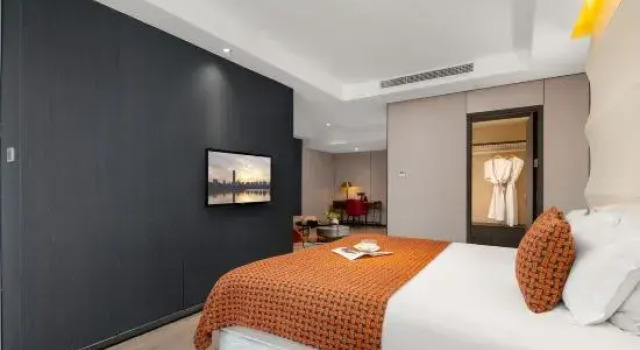 Люкс Ziyang Haoting Hotel