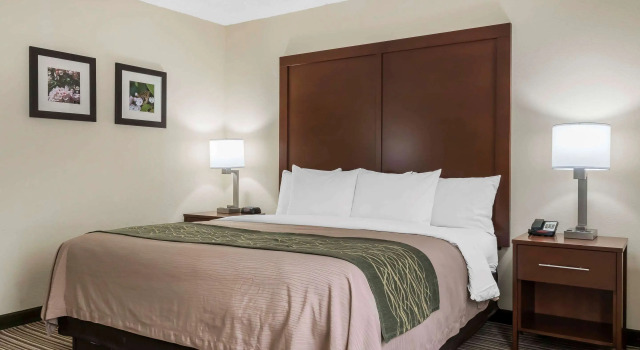 Двухместный номер Standard Comfort Inn - Pocono Mountains