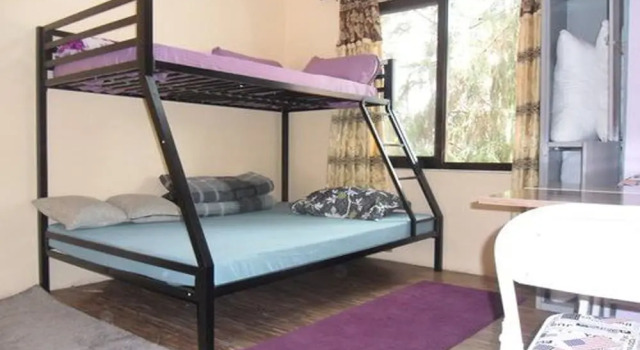 Двухместный номер Economy Nepal Inn Bed & Breakfast
