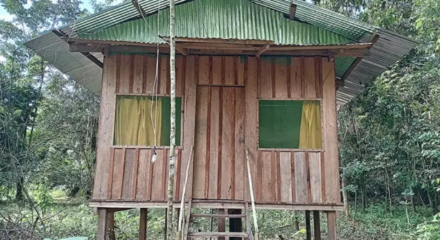 Номер Standard Antares Amazon Lodge