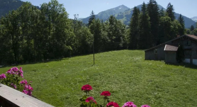 Steimandli