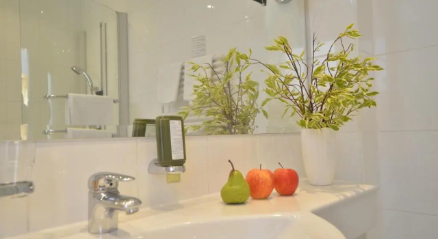 Двухместный номер Standard Post Seefeld - Wellnesshotel Tirol