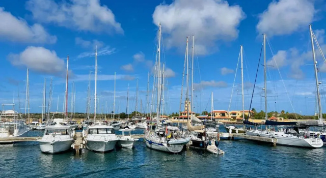 Номер Standard с видом на гавань Harbour Village Beach Club Bonaire