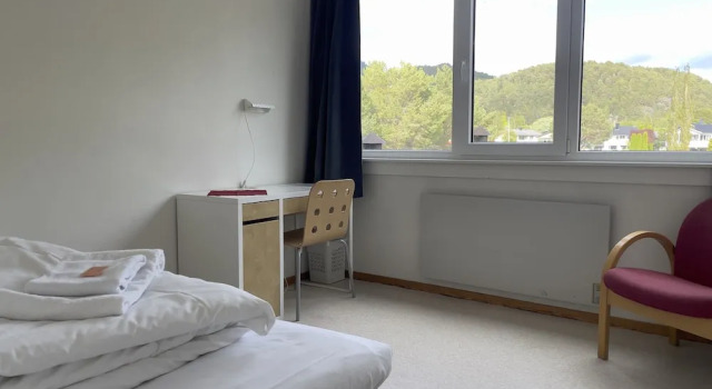 Одноместный номер Economy BORG Sommerhotell