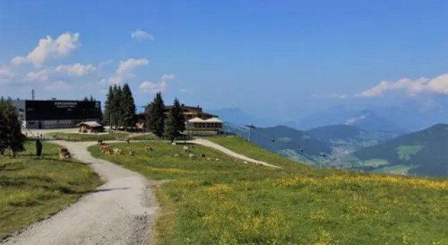 Roggenboden (WIL270), Prenota Hotel Niederau Tirolo