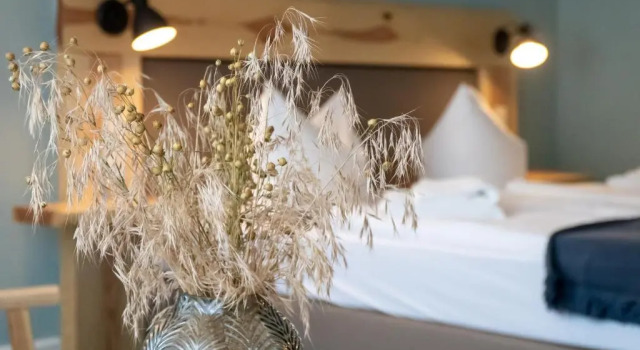 Двухместный номер Standard Waldhotel Eiche