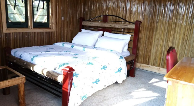 Économie double chambre avec balcon Forever Eco Resort