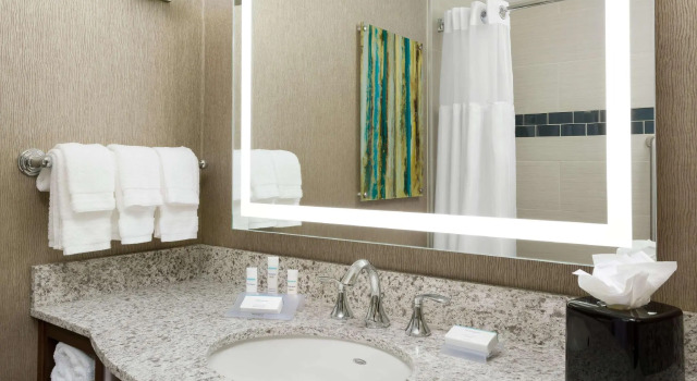Четырёхместный номер Premium Hilton Garden Inn Palo Alto