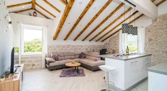 Apartments Davor