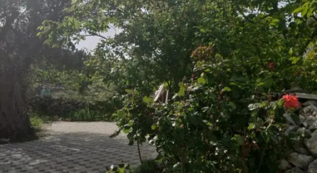 Guest house Maslina, Забронировать Гостевой дом Гостевые дома Винишче, рядом с Пляж Смоквина, Гостевой дом