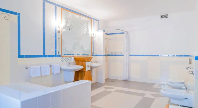 Номер Deluxe Aparthotel Tři lilie