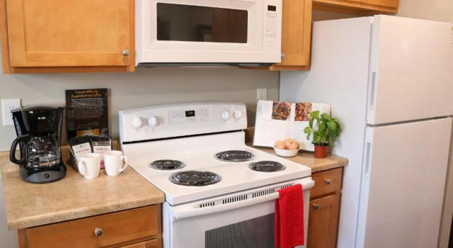 Люкс Executive Autumn Leaf Furnished Apartments