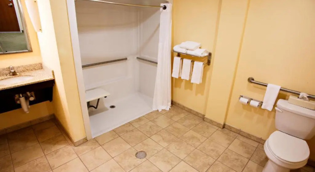 Номер Standard Holiday Inn Express & Suites Harrisburg West
