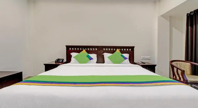 Номер Standard Treebo Prince