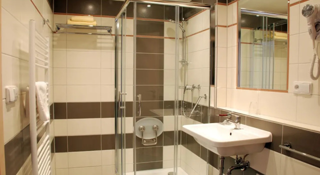 Номер Standard Lázeňský Hotel Sadový Pramen