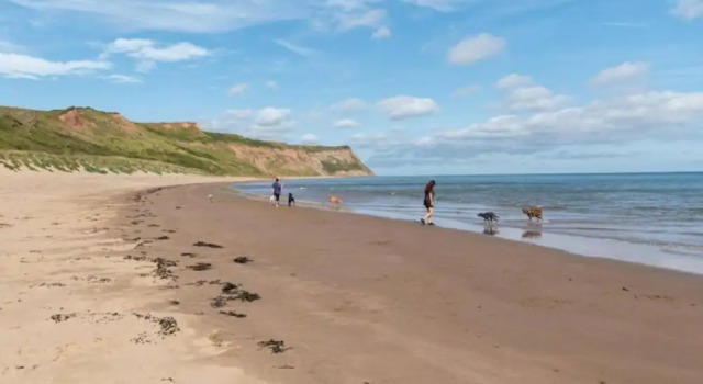 Номер Standard Apartments in Skinningrove, Cattersty Sands Beach