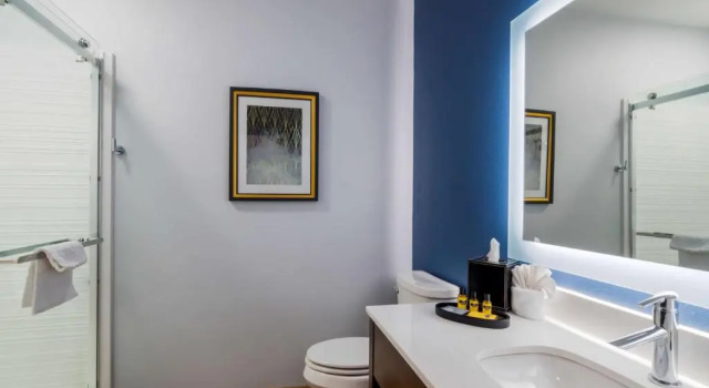 Номер Standard Hyatt Select St Louis Airport