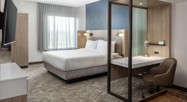Люкс SpringHill Suites by Marriott Pleasanton