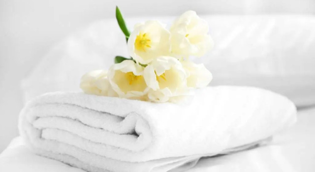 Номер Standard Anchorage Inn Lakeport