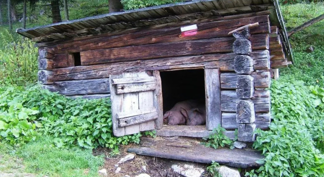 Коттедж Ferienwohnung Haus Julia