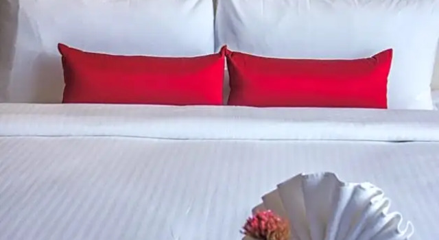 Одноместный люкс Superior Novotel Guwahati GS Road