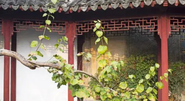 Suzhou Diaohualou B&B (Xishan Diaohualou Branch), Varaa Bed and Breakfast Hotellit Suzhou pysäköinnillä, Pysäköinti