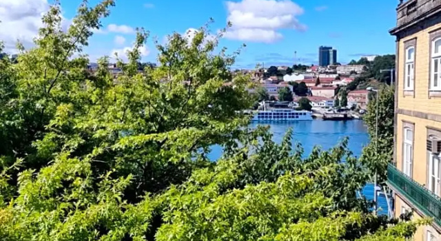 Номер Premium Memoria Porto FLH Hotels