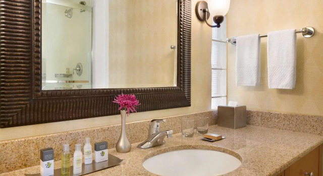 Двухместный номер with Patio or Balcony DoubleTree by Hilton Paradise Valley Resort Scottsdale