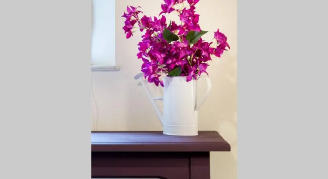 Апартаменты Pretty Duplex In Bohemian District-City Center