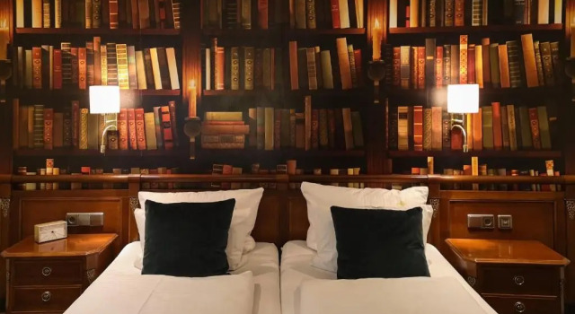 Двухместный номер Classic с видом на город Hotel Germania