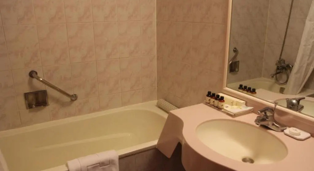 Двухместный номер Standard Hotel President