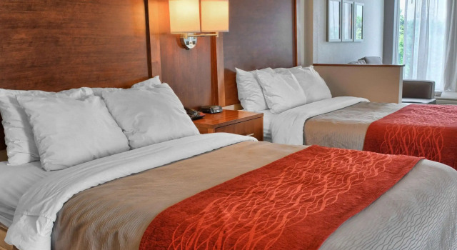 Четырёхместный люкс Comfort Inn Ruther Glen near Kings Dominion