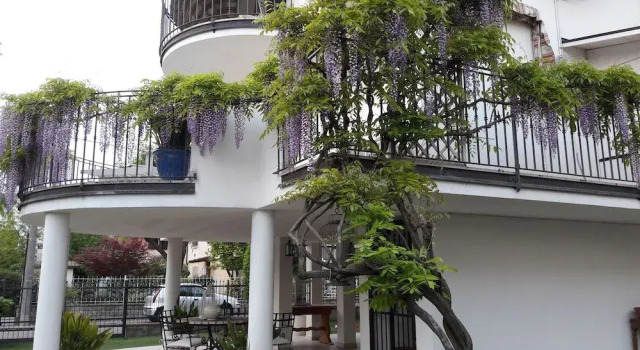 B&B Villa il Glicine