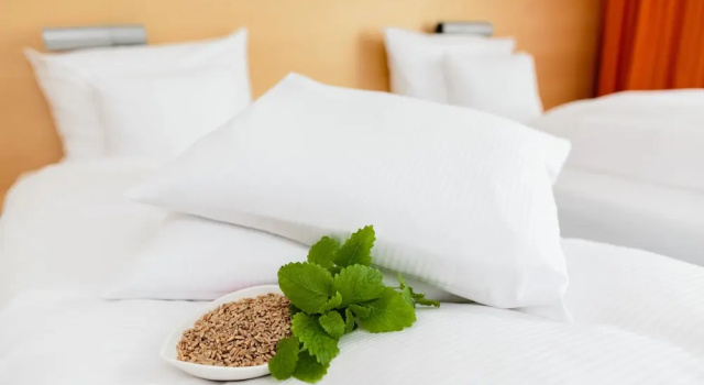 Best Western Hotel am Schlosspark, Book Hotel Niederwiesa Saxony