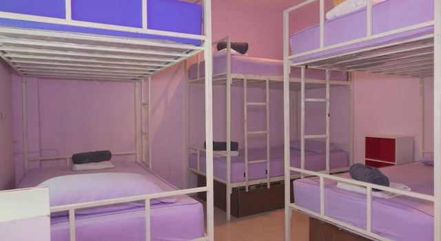 Кровать в общем номере Blessing Backpackers
