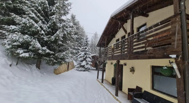Коттедж с 5 комнатами Cabana Viking Colibița