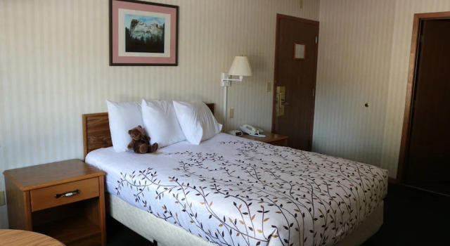 Двухместный номер Economy Roosevelt Inn Mount Rushmore
