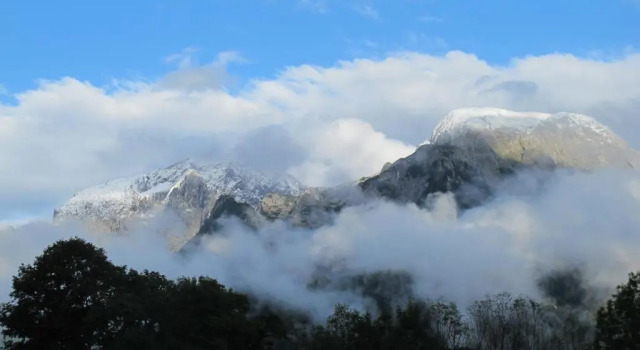 Апартаменты Alpenhof Punzenlehen