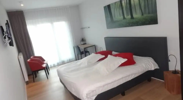 Номер Deluxe Hotel Kasteelhof T Hooghe