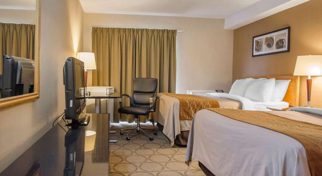 Четырёхместный номер Standard Цокольный этаж Comfort Inn Amherst