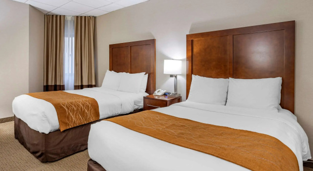 Четырёхместный люкс Comfort Inn Syosset-Long Island