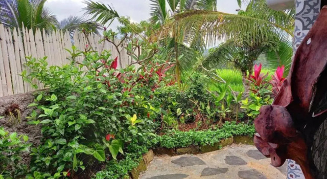 KTS - Kubu Tepi Sawah, Book Hotel Hoteller i Belimbing med parkering, Parkering